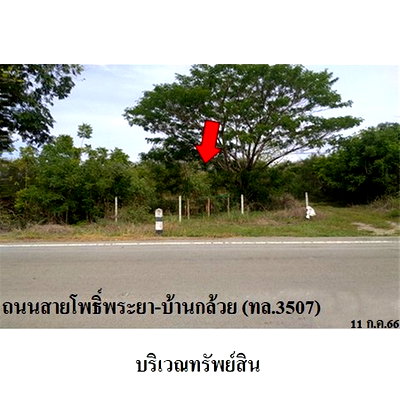 ที่ดิน ศรีประจันต์ สุพรรณบุรี : Z1T0088 ขายที่ดินเปล่า ตำบล บ้านกร่าง อำเภอ ศรีประจันต์ จังหวัด สุพรรณบุรี
