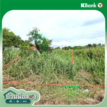 picture LAND 1134.9 Sq.w. Muang Nonthaburi Nonthaburi for 17.5M - 13/15