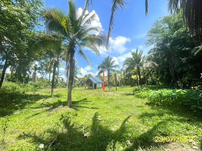 picture HOME 1144.6 Sq.w. Kantrang Trang for 4.4M - 7/25