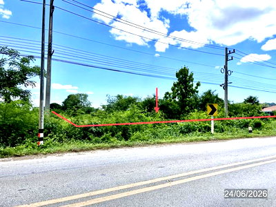 Land for sale Chon Daen Phetchabun : LAND 3368 Sq.w. Chon Daen Phetchabun for 5.1M
