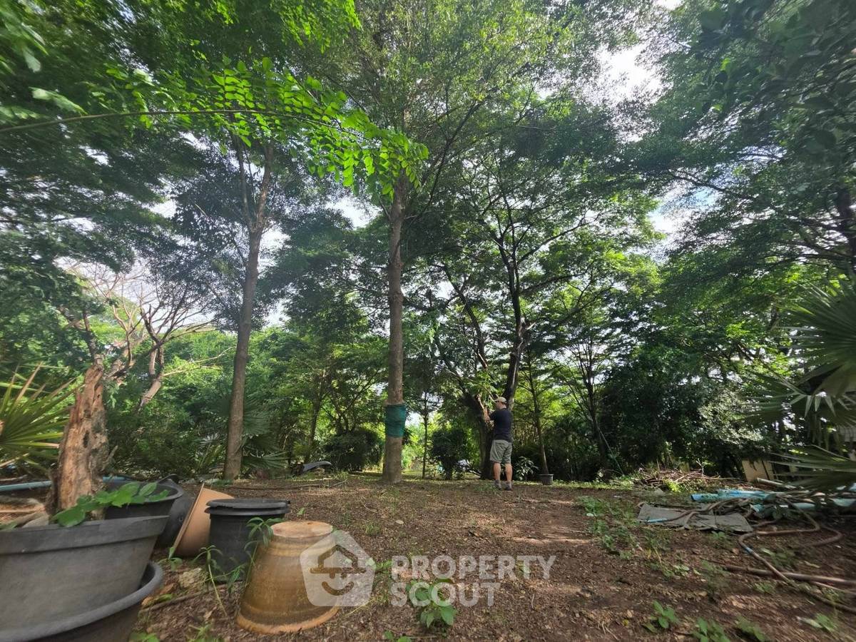 รูป ที่ดินให้เช่า ย่านบางพูด ปากเกร็ด นนทบุรี ราคา 30,000 บาท (ID 3275167) - รูปที่ 5/6