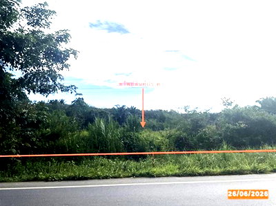 LAND 152.3 Sq.w. Bang Khan Nakhon Sri Thammarat for 1.6M