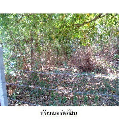 รูป Z2T2608 ขายที่ดินเปล่า โครงการ ธาราทิพย์ ตำบล ถนนใหญ่ อำเภอ เมืองลพบุรี จังหวัด ลพบุรี - รูปที่ 4/8