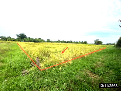 Land for sale Muang Kalasin Kalasin : LAND 400 Sq.w. Muang Kalasin Kalasin for 1M