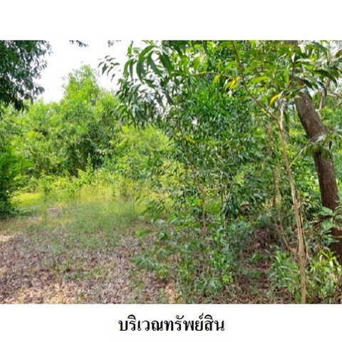 รูป Z8Z6224 ขายที่ดินเปล่า สวนวลีแลนด์ 4 ตำบล ทับมา อำเภอ เมืองระยอง จังหวัด ระยอง - รูปที่ 4/8