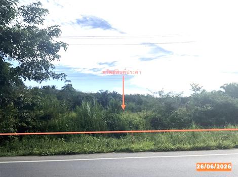 รูป ที่ดินว่างเปล่า 152.3 ตร.วา บางขัน นครศรีธรรมราช 1.6M - รูปที่ 18/21