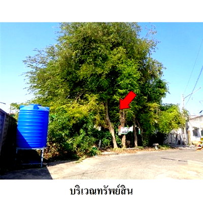Land for sale Muang Lop Buri Lopburi : Thailand LAND for sale 0 Rai 1 Ngan 82 Square Wah  1098000 Baht.