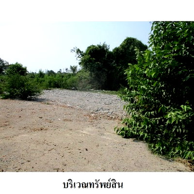 Land for sale Sai Noi Nonthaburi : Thailand LAND for sale 12 Rai 2 Ngan 38 Square Wah  18253000 Baht.