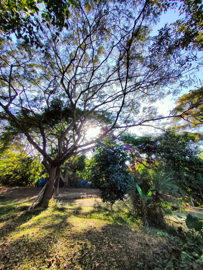 รูป 🌿🏡 ขายที่ดิน 4 ไร่ 83 ตร.ว. พร้อมบ้านสวน 4 หลัง ต.แม่โป่ง อ.ดอยสะเก็ด จ.เชียงใหม่ T. 063-6649056 - รูปที่ 11/18
