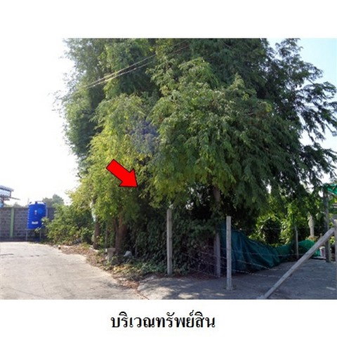 รูป Z2T2607 ขายที่ดินเปล่า โครงการ ธาราทิพย์ ตำบล ถนนใหญ่ อำเภอ เมืองลพบุรี จังหวัด ลพบุรี - รูปที่ 6/8