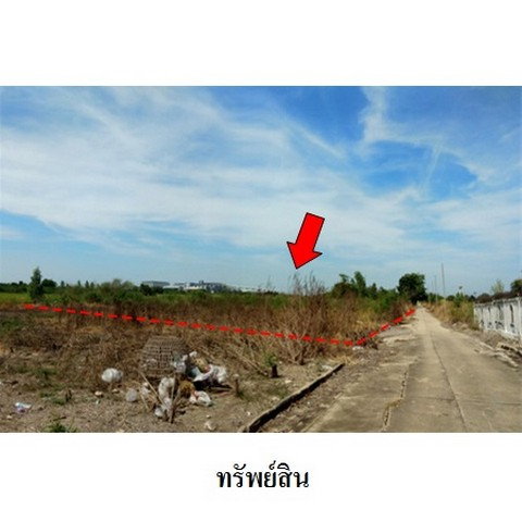 รูป Z4T0492 ขายที่ดินเปล่า โครงการ บ้านส่องแสง ตำบล สามเมือง อำเภอ ลาดบัวหลวง จังหวัด พระนครศรีอยุธยา - รูปที่ 2/8