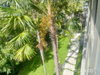 listing thumbnail image 24