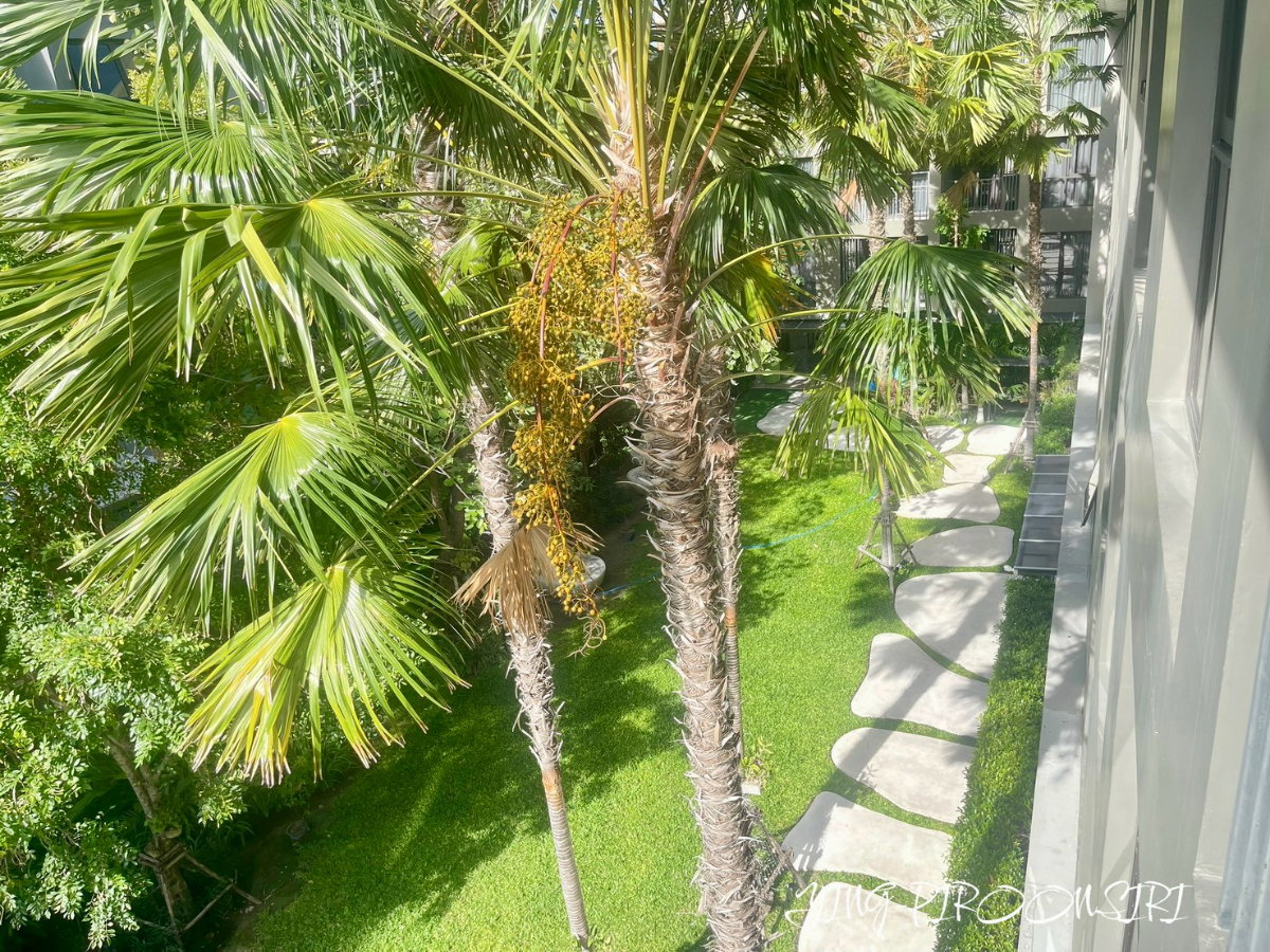 รูป ให้เช่าคอนโด มาร์เวสท์ หัวหิน (Marvest Hua Hin) 1 ห้องนอน ขนาด 30 ตรม. ห้อง 61  - รูปที่ 25/32