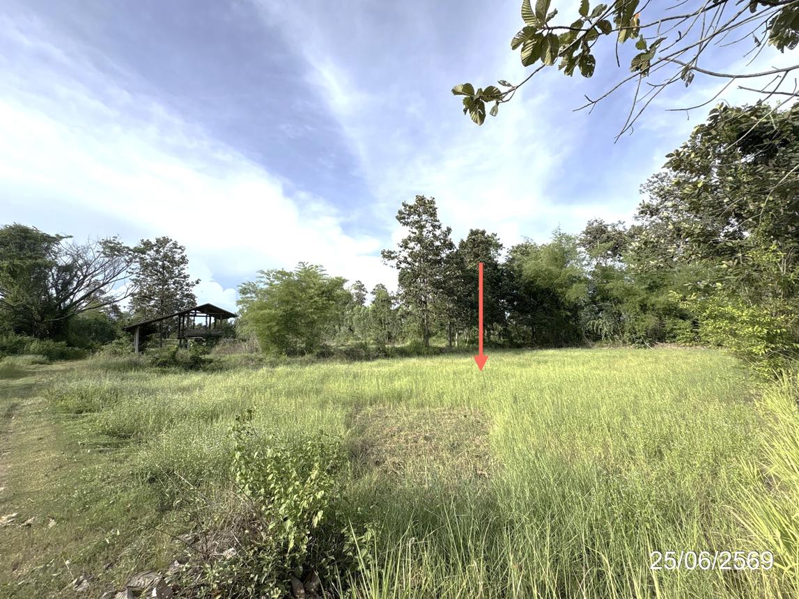 picture LAND 5200 Sq.w. Senangkhanikhom Amnat Charoen for 3.7M - 16/21