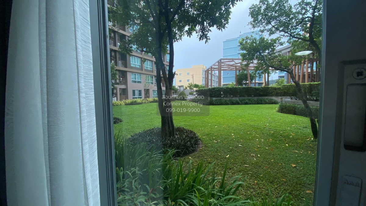 รูป เช่าคอนโด  ดีคอนโด ครีก ภูเก็ต กะทู้ กะทู้ ภูเก็ต CX-173645 ✅ ทักไลน์ @connexproperty ตอบทันที ทีมงานมืออาชีพ ✅ - รูปที่ 5/5