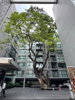 listing thumbnail image 10