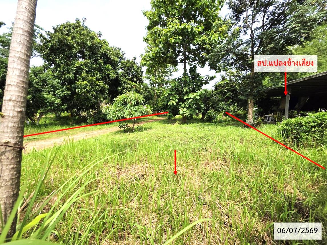 picture LAND 336 Sq.w. That Phanom Nakhon Phanom for 1.1M - 13/21