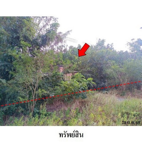 รูป Z3A1843 ขายที่ดินเปล่า ตำบล ช่องสาริกา อำเภอ พัฒนานิคม จังหวัด ลพบุรี - รูปที่ 4/8