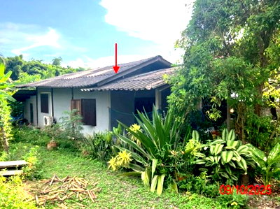บ้านเดี่ยว ลำปาง : บ้านเดี่ยว 130.8 ตร.วา ห้างฉัตร ลำปาง 981,000