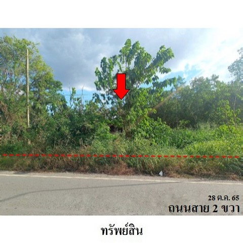 รูป Z3A1843 ขายที่ดินเปล่า ตำบล ช่องสาริกา อำเภอ พัฒนานิคม จังหวัด ลพบุรี - รูปที่ 2/8