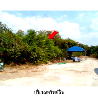 Land for sale Muang Lop Buri Lopburi : Thailand LAND for sale 21 Rai 3 Ngan 20 Square Wah  27004000 Baht.