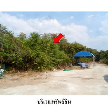 Z2T2051 ขายที่ดินเปล่า โครงการ ธาราทิพย์ ตำบล ทะเลชุบศร อำเภอ เมืองลพบุรี จังหวัด ลพบุรี
