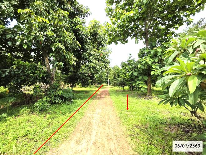 picture LAND 336 Sq.w. That Phanom Nakhon Phanom for 1.1M - 4/21