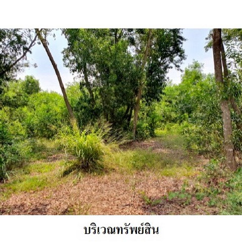 รูป Z8Z6224 ขายที่ดินเปล่า สวนวลีแลนด์ 4 ตำบล ทับมา อำเภอ เมืองระยอง จังหวัด ระยอง - รูปที่ 5/8
