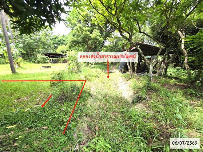 picture LAND 336 Sq.w. That Phanom Nakhon Phanom for 1.1M - 7/21