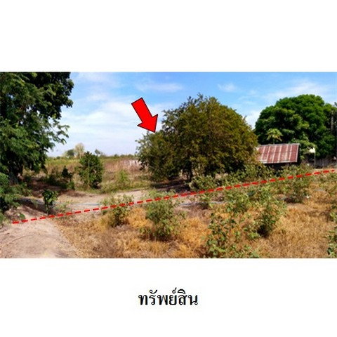 รูป Z4T0492 ขายที่ดินเปล่า โครงการ บ้านส่องแสง ตำบล สามเมือง อำเภอ ลาดบัวหลวง จังหวัด พระนครศรีอยุธยา - รูปที่ 5/8