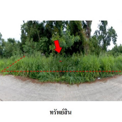 รูป Z8Z6445 ขายที่ดินเปล่า สวนวลีแลนด์ 4 ตำบล ทับมา อำเภอ เมืองระยอง จังหวัด ระยอง - รูปที่ 2/8