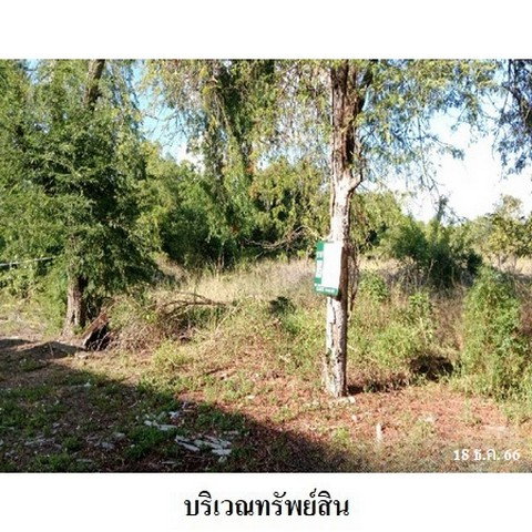 รูป Z8Z4873 ขายที่ดินเปล่า ตำบล ตะพง อำเภอ เมืองระยอง จังหวัด ระยอง - รูปที่ 5/8