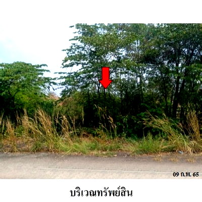 Land for sale Bang Sai Phra Nakhon Sri Ayutthaya : Thailand LAND for sale 1 Rai 0 Ngan 10 Square Wah  1312000 Baht.