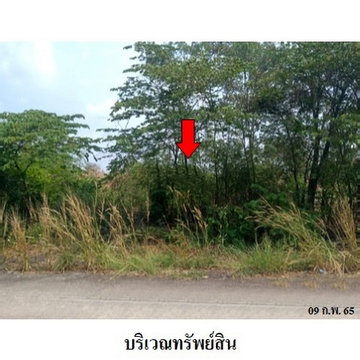 Thailand LAND for sale 1 Rai 0 Ngan 10 Square Wah  1312000 Baht.