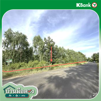 picture LAND 5200 Sq.w. Senangkhanikhom Amnat Charoen for 3.7M - 19/21