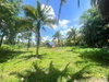 listing thumbnail image 16