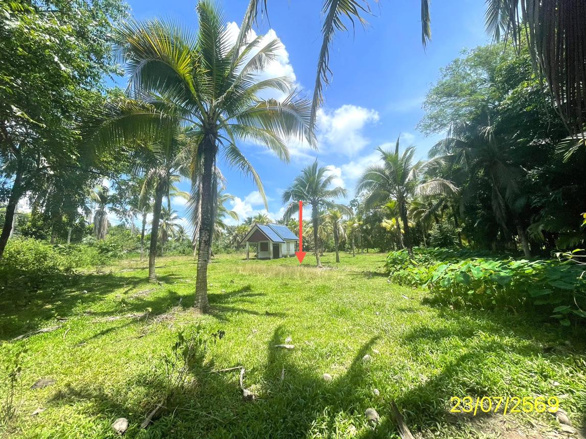 picture HOME 1144.6 Sq.w. Kantrang Trang for 4.4M - 17/25