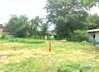 listing thumbnail image 25