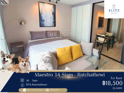 รูปภาพ ✨ Pet-friendly sanctuary near BTS | Modern classic lifestyle in Siam-Ratchathewi | Perfect home for you and your beloved pets ✨