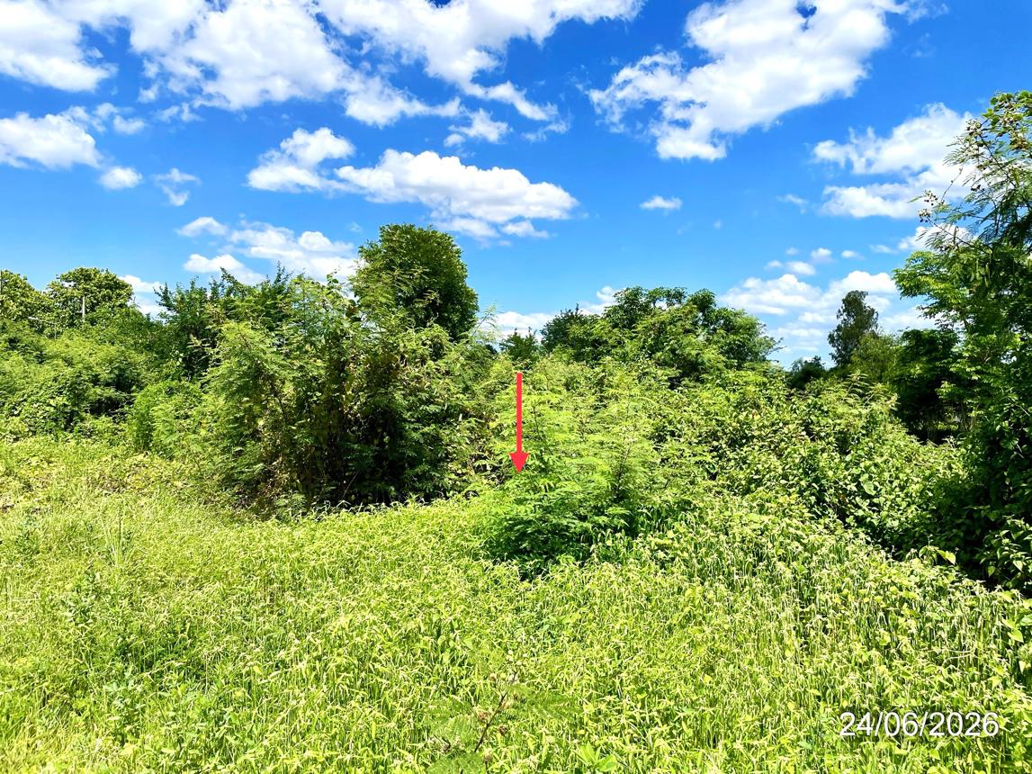 picture LAND 3368 Sq.w. Chon Daen Phetchabun for 5.1M - 13/19