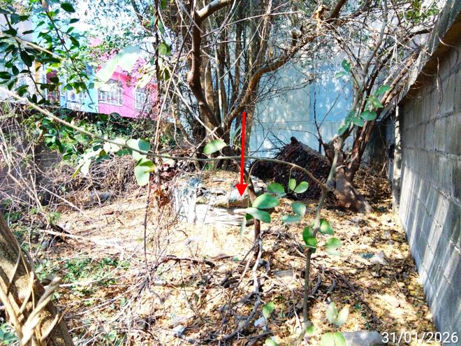 picture LAND 14.3 Sq.w. Chalermphrakiet Saraburi for 122,000 - 5/13