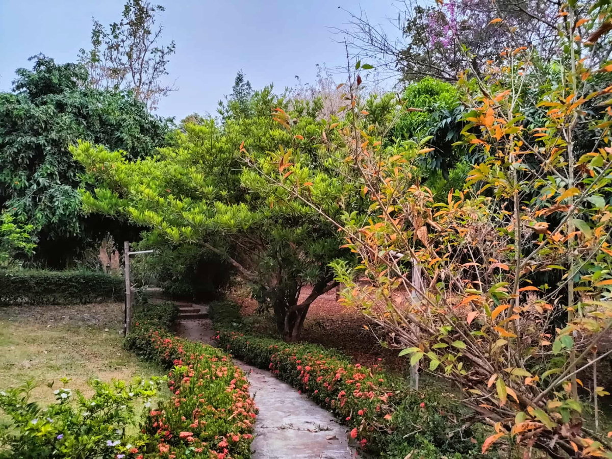 รูป 🌿🏡 ขายที่ดิน 4 ไร่ 83 ตร.ว. พร้อมบ้านสวน 4 หลัง ต.แม่โป่ง อ.ดอยสะเก็ด จ.เชียงใหม่ T. 063-6649056 - รูปที่ 9/18