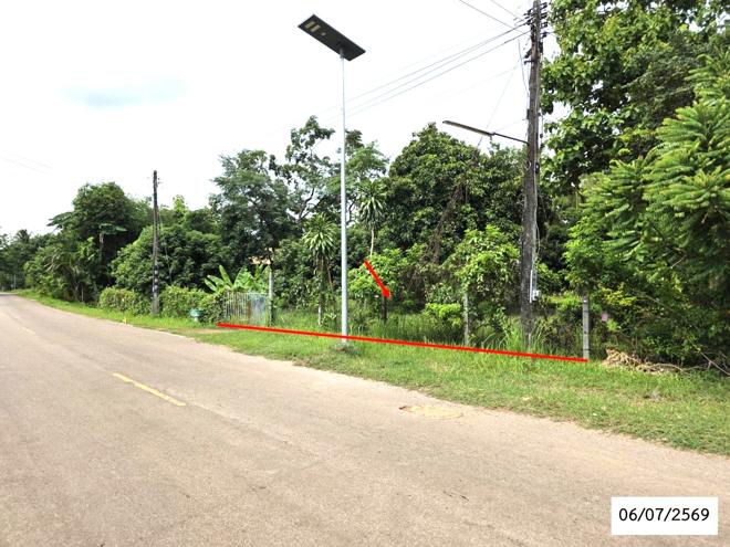 picture LAND 336 Sq.w. That Phanom Nakhon Phanom for 1.1M - 9/21
