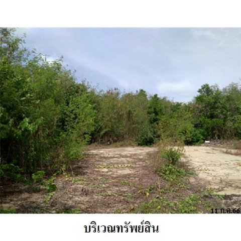 รูป Z1T0095 ขายที่ดินเปล่า ตำบล บ้านกร่าง อำเภอ ศรีประจันต์ จังหวัด สุพรรณบุรี - รูปที่ 8/8