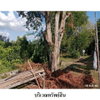 listing thumbnail image 6