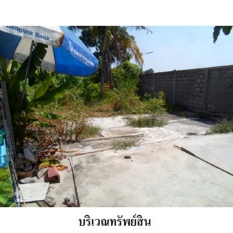 รูป Z2T2608 ขายที่ดินเปล่า โครงการ ธาราทิพย์ ตำบล ถนนใหญ่ อำเภอ เมืองลพบุรี จังหวัด ลพบุรี - รูปที่ 2/8