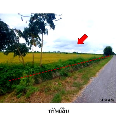 ที่ดิน ค่ายบางระจัน สิงห์บุรี : ZLL0097 ขายที่ดินเปล่า ตำบล โพสังโฆ อำเภอ ค่ายบางระจัน จังหวัด สิงห์บุรี