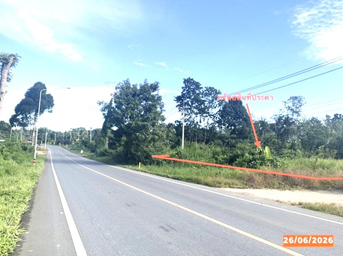รูป ที่ดินว่างเปล่า 152.3 ตร.วา บางขัน นครศรีธรรมราช 1.6M - รูปที่ 12/21