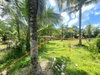 listing thumbnail image 18