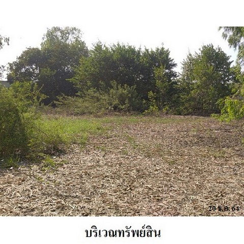 รูป Z8Z6979 ขายที่ดินเปล่า ตำบล ท่าระหัด อำเภอ เมืองสุพรรณบุรี จังหวัด สุพรรณบุรี - รูปที่ 2/8